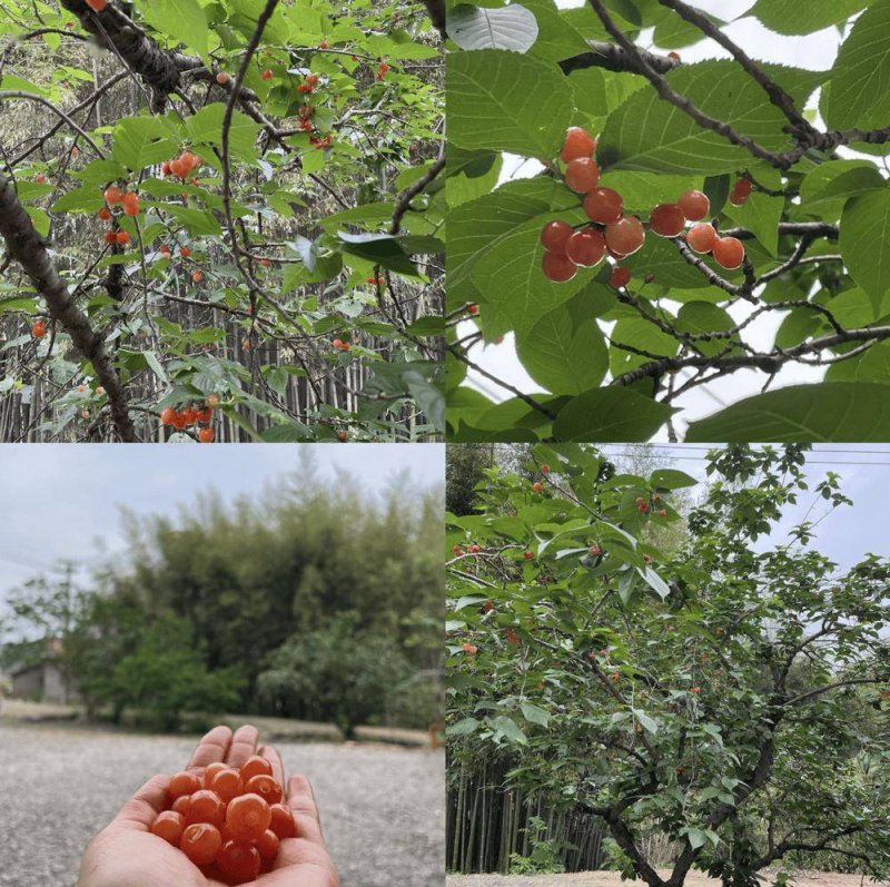 你们要的瘦身攻略！还有蚂蚁腰、蜜桃臀、大长腿......