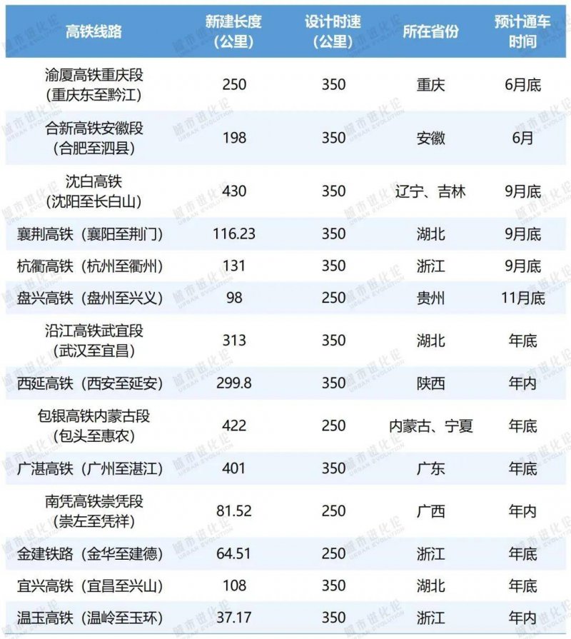泉州市区6000余株行道树修剪